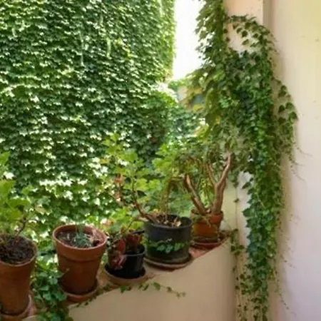 Luz Y Tranquilidad Barrio De Sta Cruz דירה *