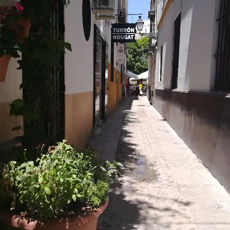 דירה Luz Y Tranquilidad Barrio De Sta Cruz *