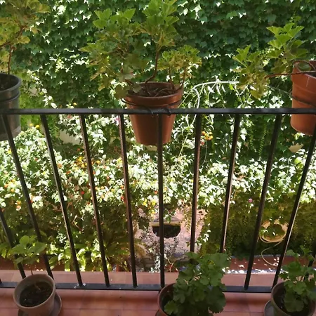 Luz Y Tranquilidad Barrio De Sta Cruz דירה סביליה